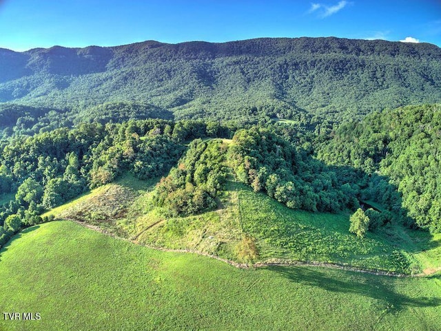 251 Fee Trl, Ewing, VA 24248 - view of mountain feature featuring a wooded view