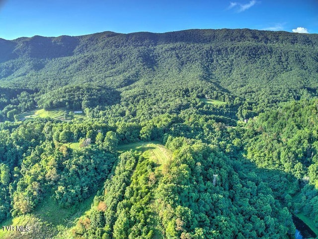 251 Fee Trl, Ewing, VA 24248 - mountain view with a forest view