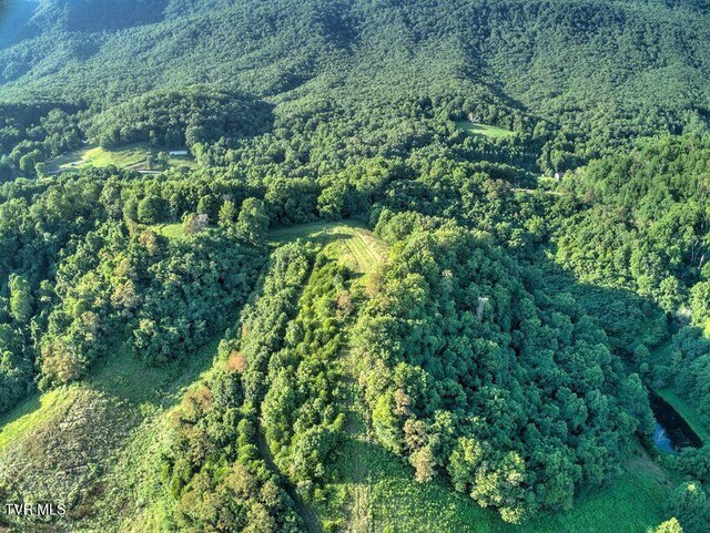 251 Fee Trl, Ewing, VA 24248 - drone / aerial view featuring a forest view