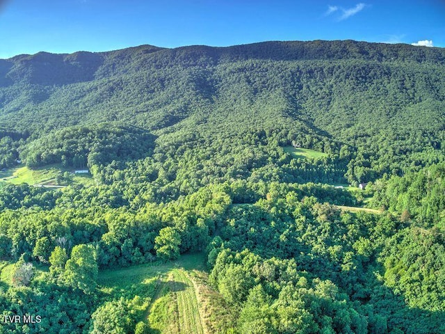 251 Fee Trl, Ewing, VA 24248 - view of mountain feature featuring a view of trees