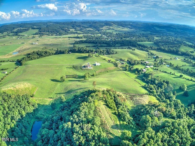 251 Fee Trl, Ewing, VA 24248 - drone / aerial view