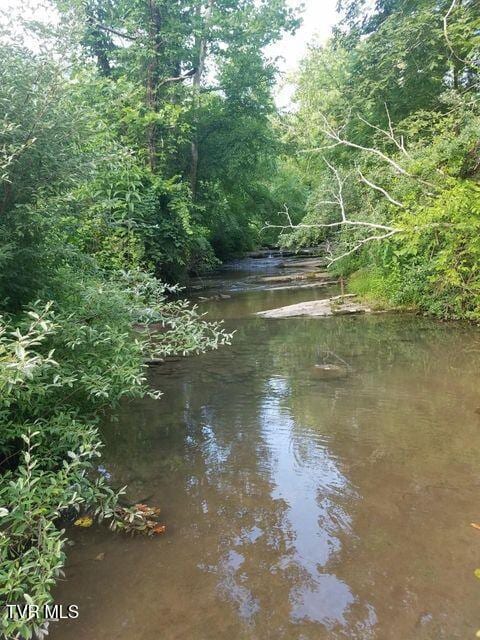 251 Fee Trl, Ewing, VA 24248 - property view of water with a wooded view
