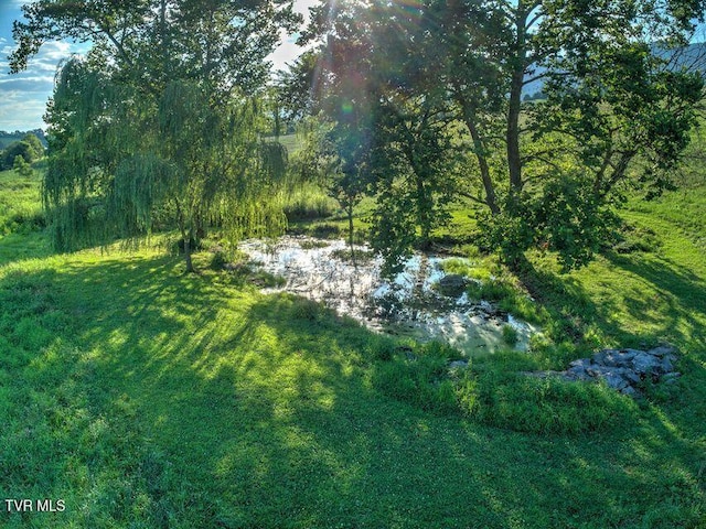 251 Fee Trl, Ewing, VA 24248 - exterior space