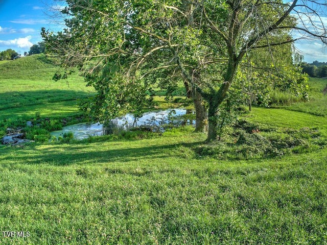 251 Fee Trl, Ewing, VA 24248 - view of yard