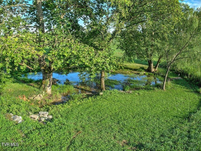 251 Fee Trl, Ewing, VA 24248 - property view of water