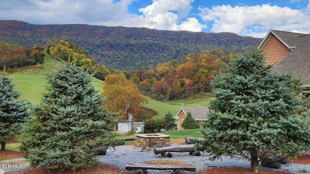 251 Fee Trl, Ewing, VA 24248 - mountain view with a wooded view