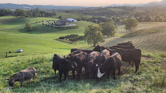 251 Fee Trl, Ewing, VA 24248 - view of mountain feature featuring a rural view
