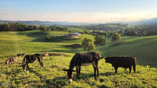 251 Fee Trl, Ewing, VA 24248 - surrounding community with a rural view
