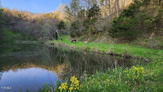 251 Fee Trl, Ewing, VA 24248 - view of landscape with a water view and a wooded view