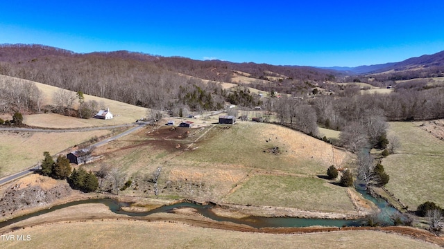 birds eye view of property featuring a mountain view