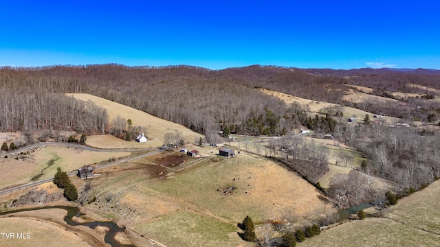 birds eye view of property featuring a mountain view