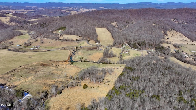 property view of mountains