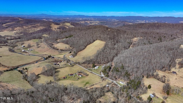 bird's eye view featuring a mountain view and a view of trees