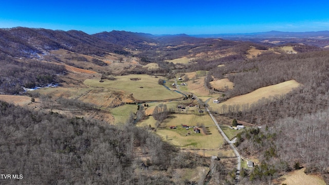 birds eye view of property featuring a mountain view