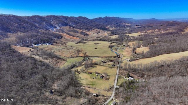 birds eye view of property with a mountain view