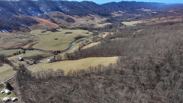 property view of mountains