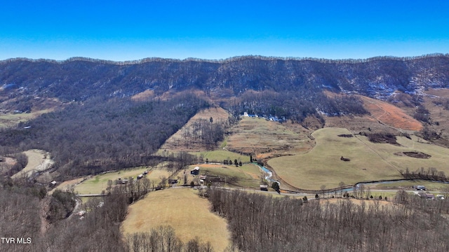 view of mountain feature