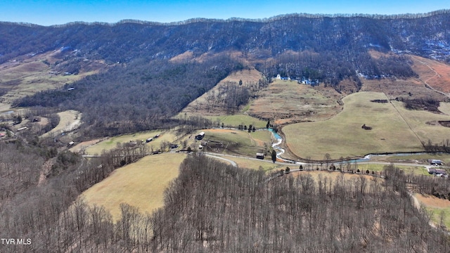 aerial view featuring a mountain view