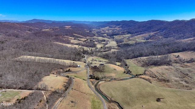 birds eye view of property featuring a mountain view