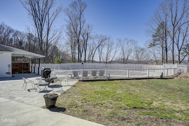 view of yard featuring a fenced backyard and a patio