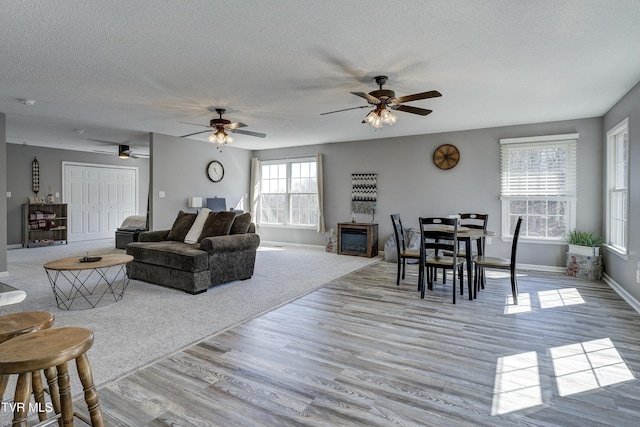 living area with a textured ceiling, baseboards, and wood finished floors