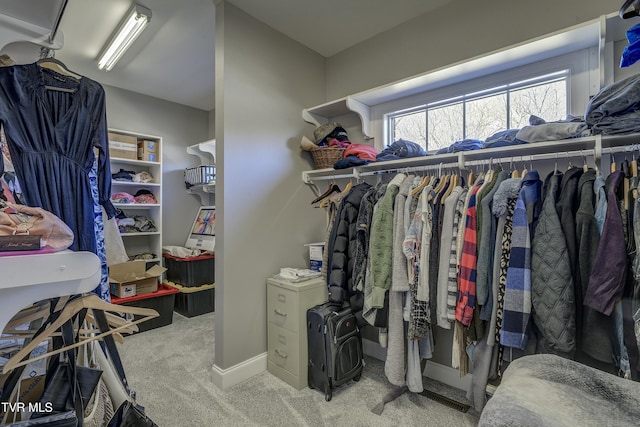 walk in closet featuring carpet floors