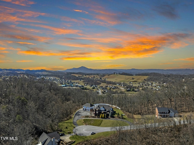 property view of mountains with a forest view