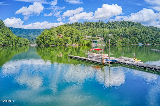 dock area featuring a water view and a wooded view