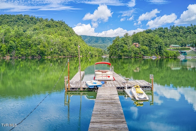 dock area with a water view and a wooded view