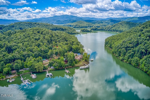 bird's eye view featuring a water and mountain view