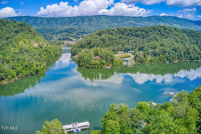 bird's eye view with a water and mountain view