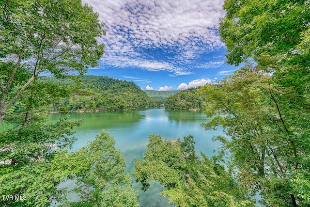 property view of water featuring a wooded view