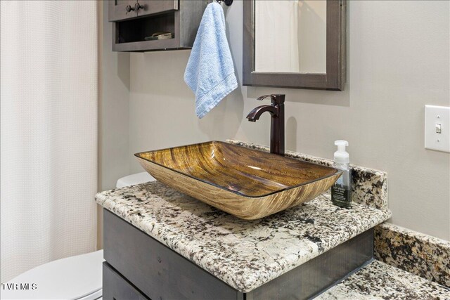 bathroom with toilet and vanity