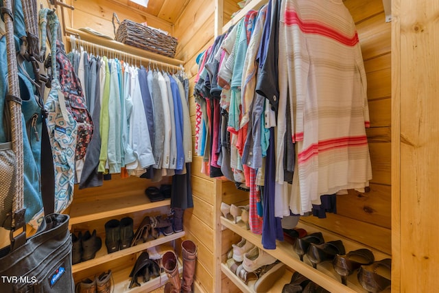 view of spacious closet