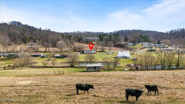 view of yard featuring a rural view