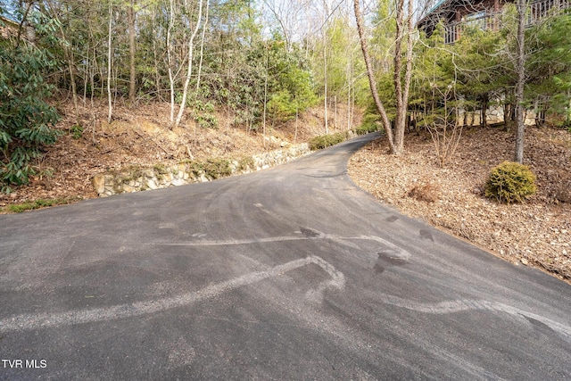 254 Ivy Wood Ln, Mountain City, TN 37683 - photo 63