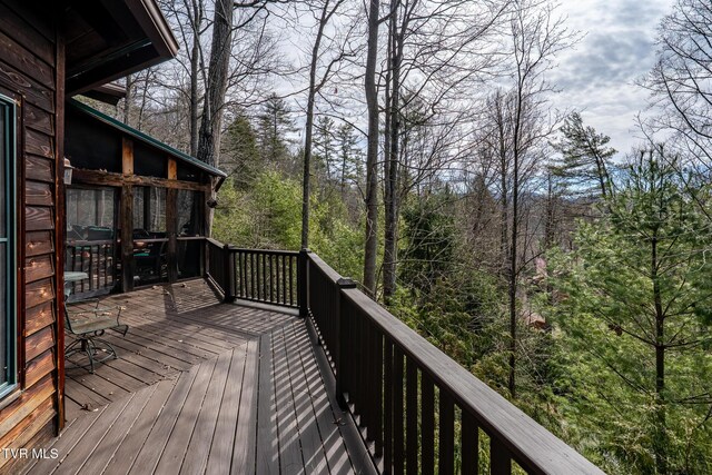 254 Ivy Wood Ln, Mountain City, TN 37683 - photo 55
