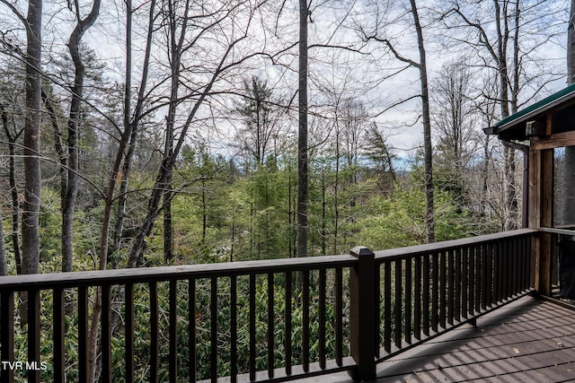 254 Ivy Wood Ln, Mountain City, TN 37683 - photo 8