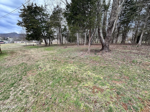 view of yard featuring a mountain view