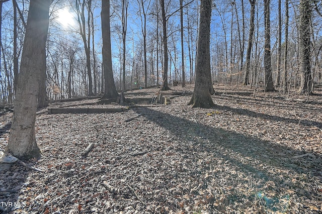 1410 Highridge Dr, Kingsport, TN 37664 - photo 36