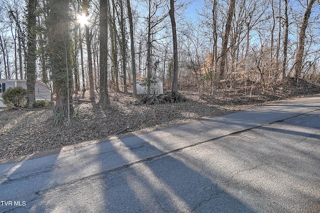 1410 Highridge Dr, Kingsport, TN 37664 - photo 40