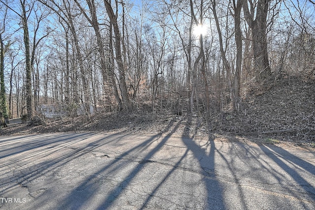 1410 Highridge Dr, Kingsport, TN 37664 - photo 43