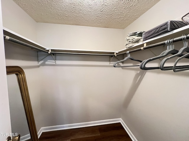 walk in closet with wood finished floors