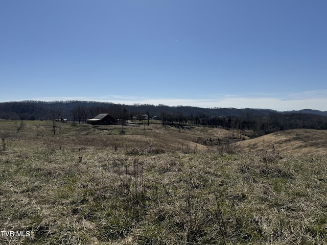 Listing photo 3 for 0 Whitehorn Rd, Bulls Gap TN 37711