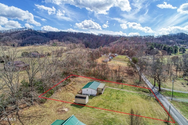 birds eye view of property with a rural view and a wooded view