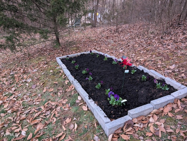 view of yard featuring a vegetable garden