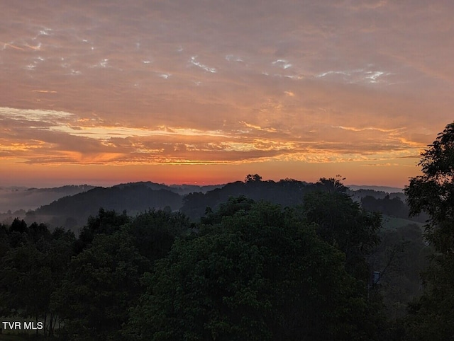 view of mountain feature with a wooded view