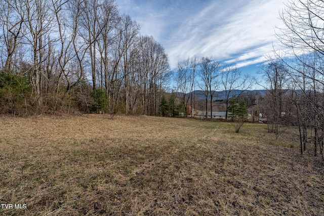 3085 Slabtown Rd, Mountain City TN, 37683 land for sale