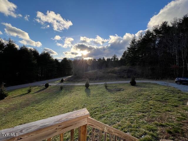 view of yard featuring a forest view