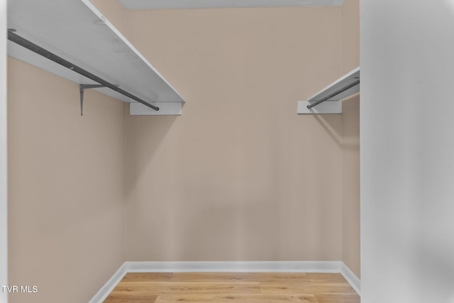 spacious closet featuring light wood finished floors